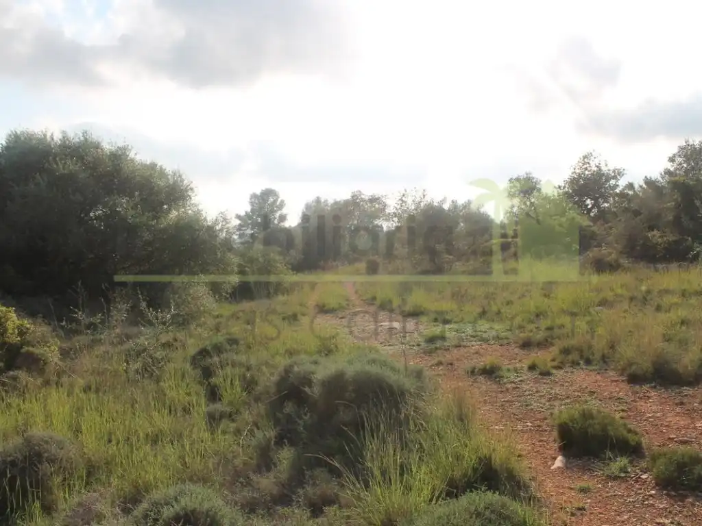 Terreny residencial en venda a Càlig, imagen 3