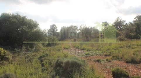 Preciosa finca con proyecto arquitectónico., imatge 3