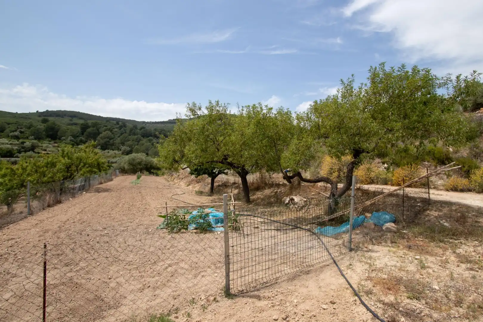 Finca rústica en venda en Benlloc amb Jardí privat, Terrassa i Traster