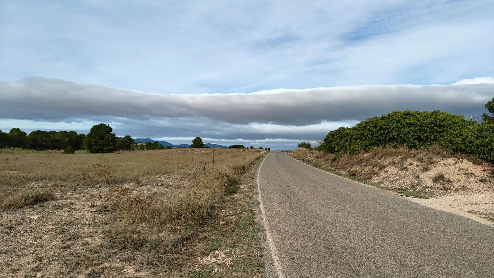 Rural land for sale in Monóvar  / Monòver, imagen 14