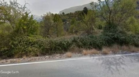 PARCELA CON OLIVAR, OPCIÓN CASETA APEROS, immagine 2