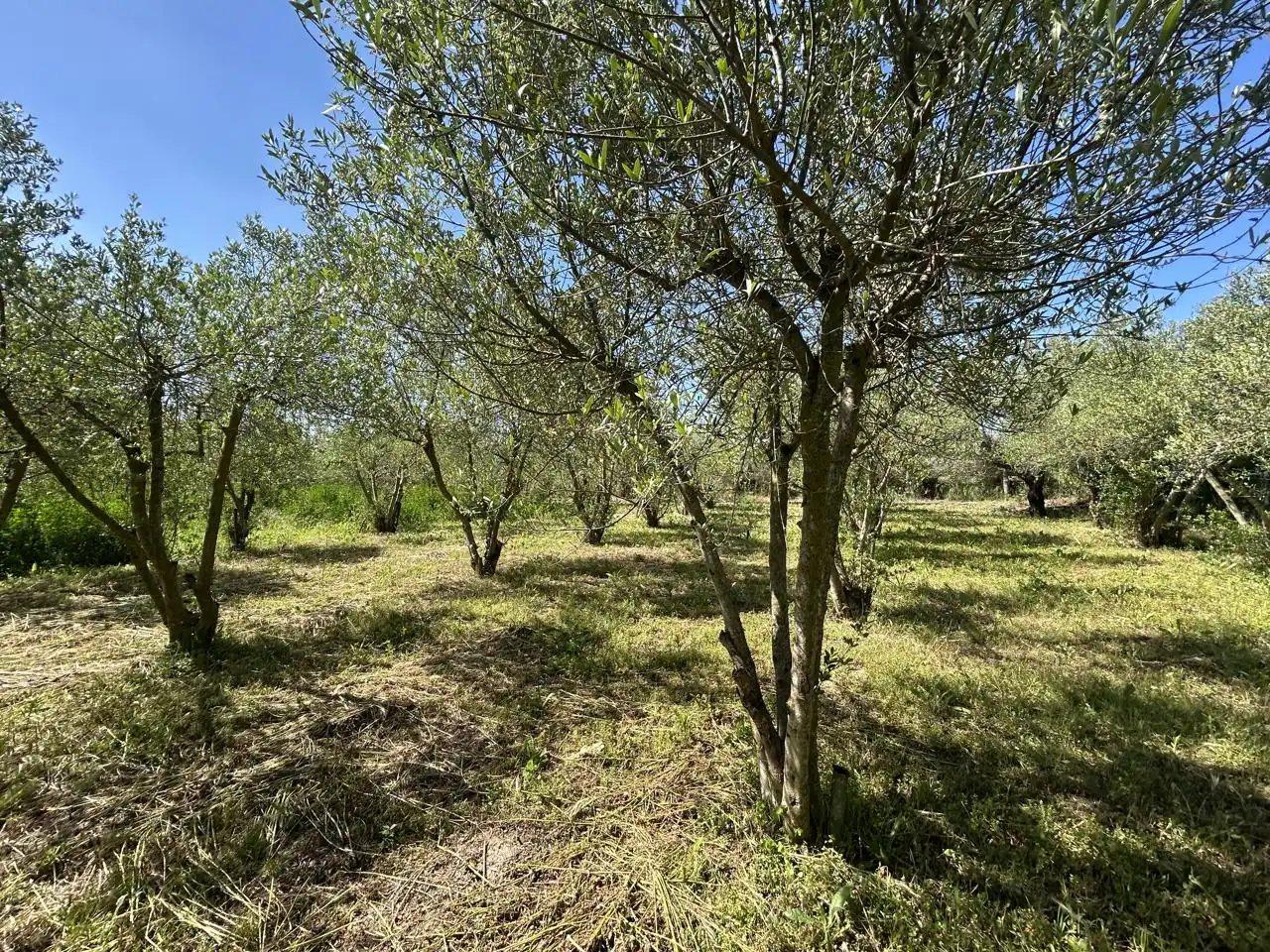 Finca rústica en venda en Tudela amb Piscina