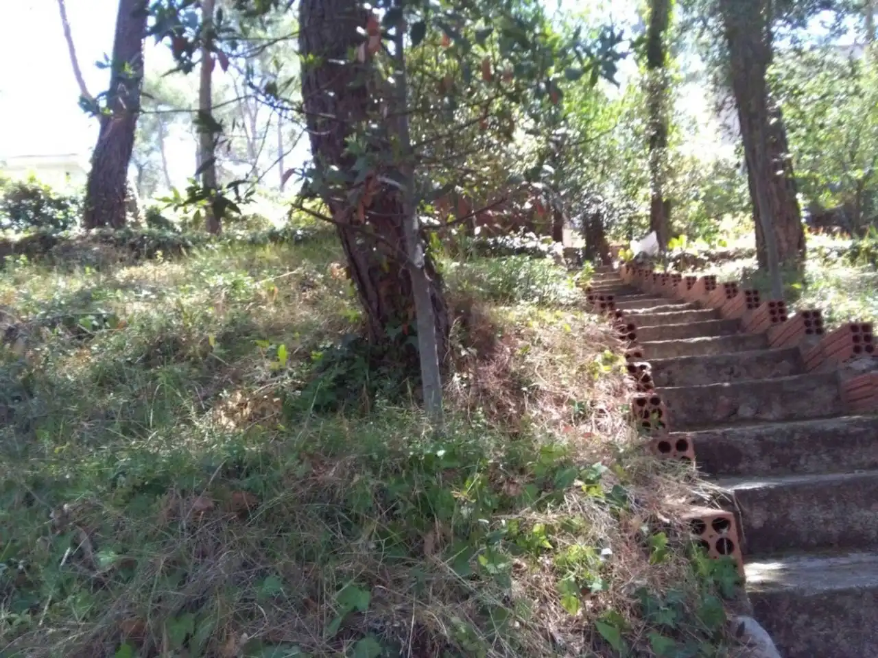 Rustikales Grundstück zum Verkauf in Paseo del Balcó, imagen 4