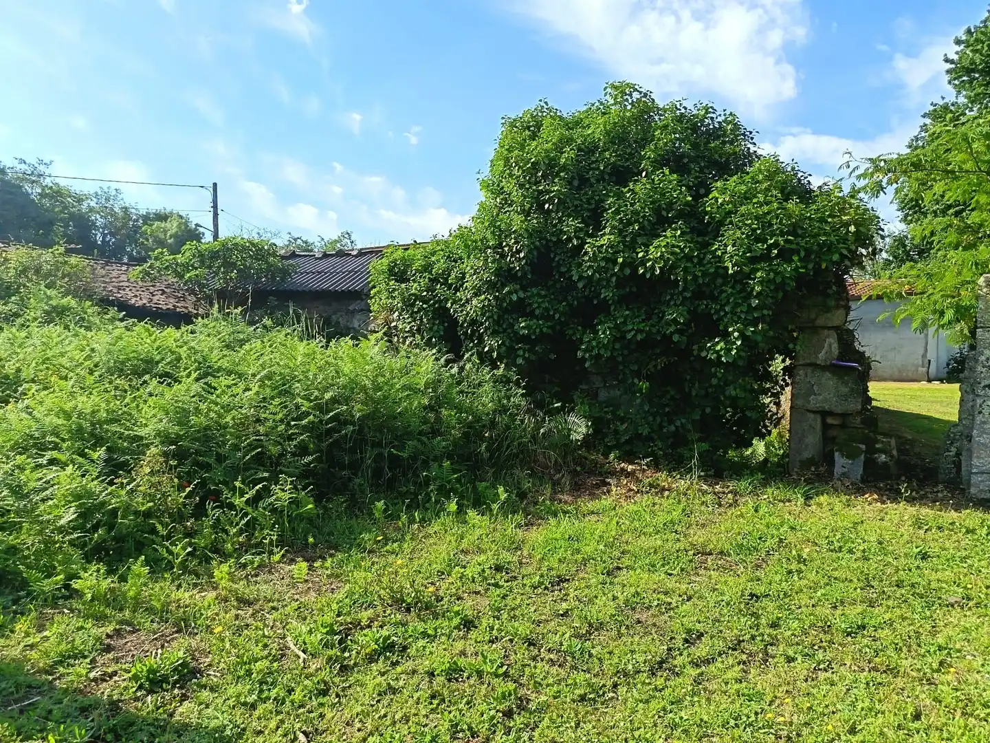 Finca rústica en venda en Salvaterra de Miño