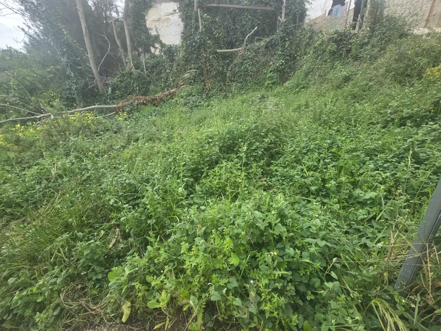 Terreni e lotti in vendita a Churriana, imagen 2