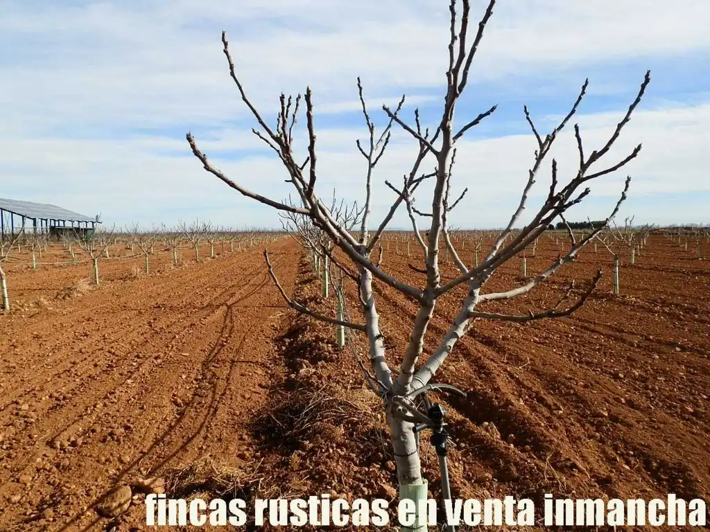 Jardín de Terreno en venta en Albacete