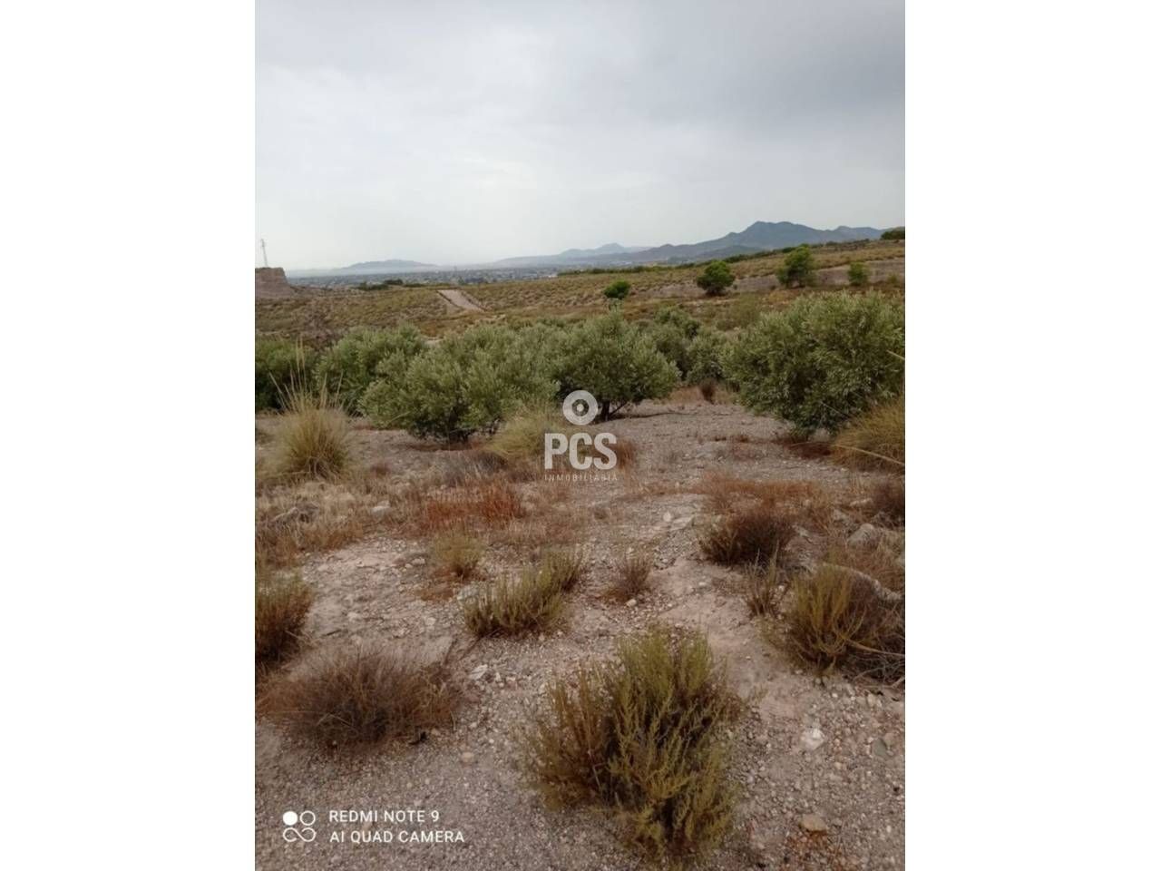 Land for sale in Lorca
