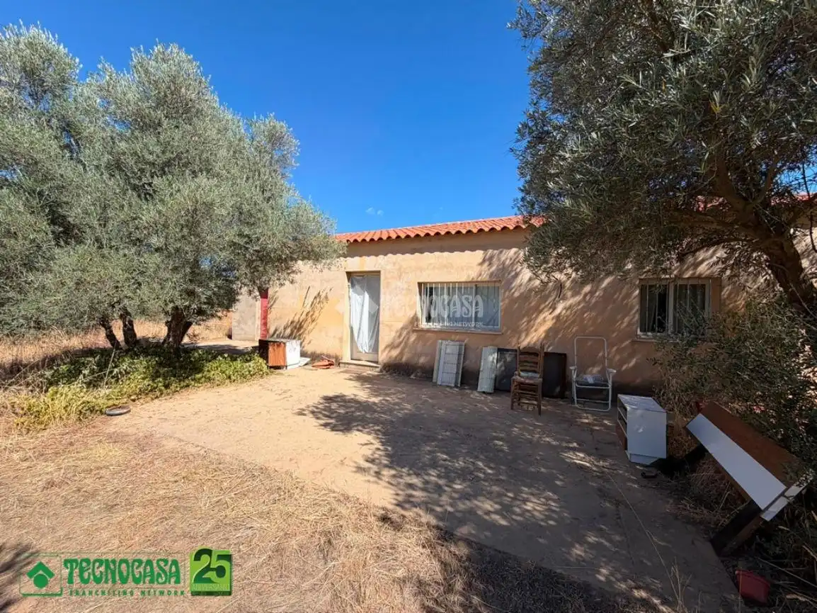 Garden of Houses for sale in Piedrabuena