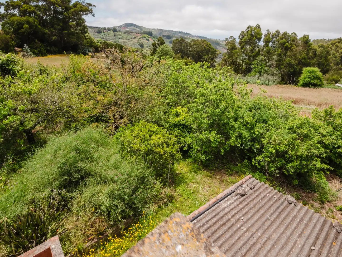 Houses for sale in Moya (Las Palmas)  with Private garden, Terrace and Balcony