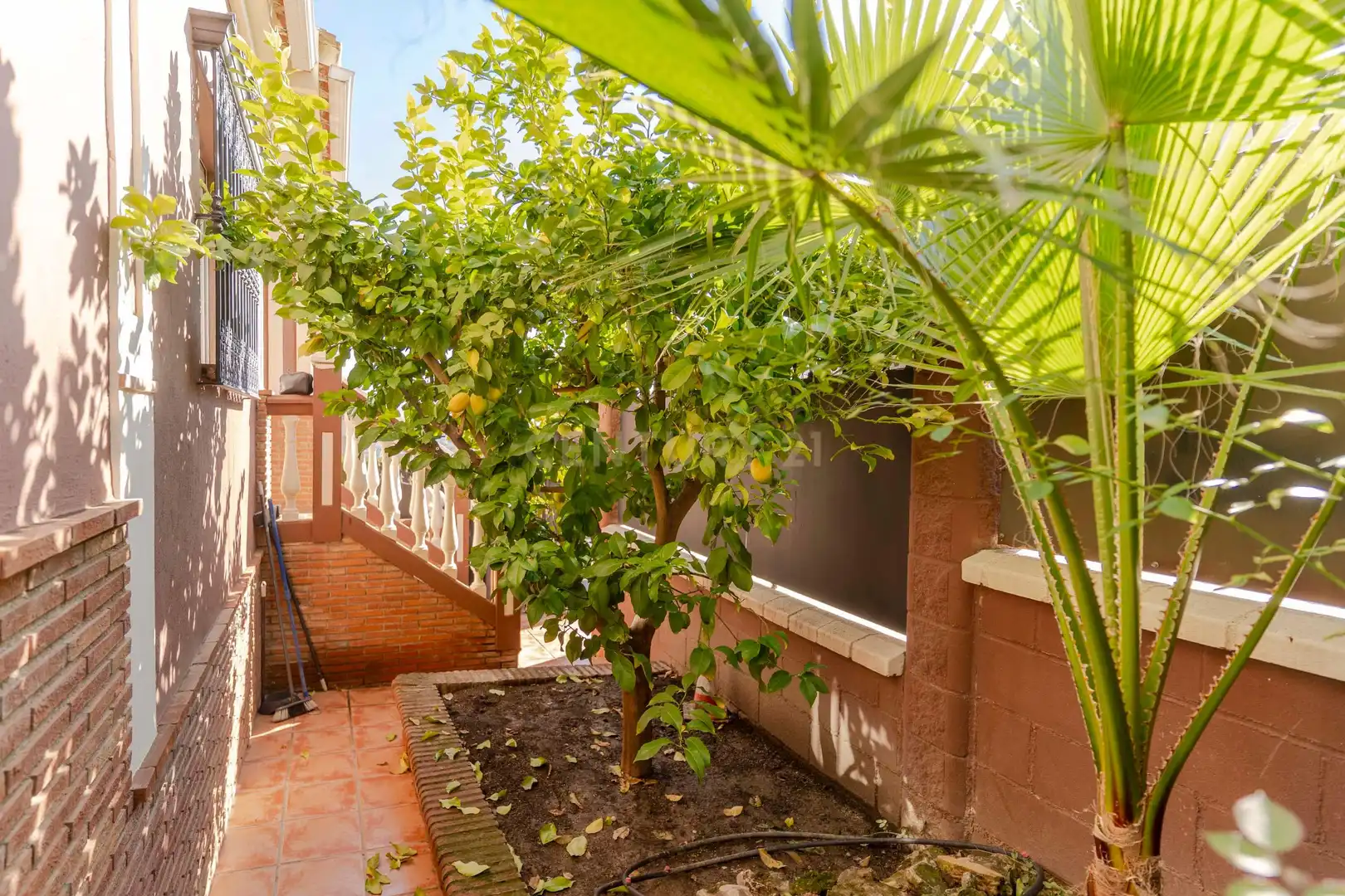 Jardí de Casa o xalet en venda en Albolote amb Aire condicionat, Traster i Piscina