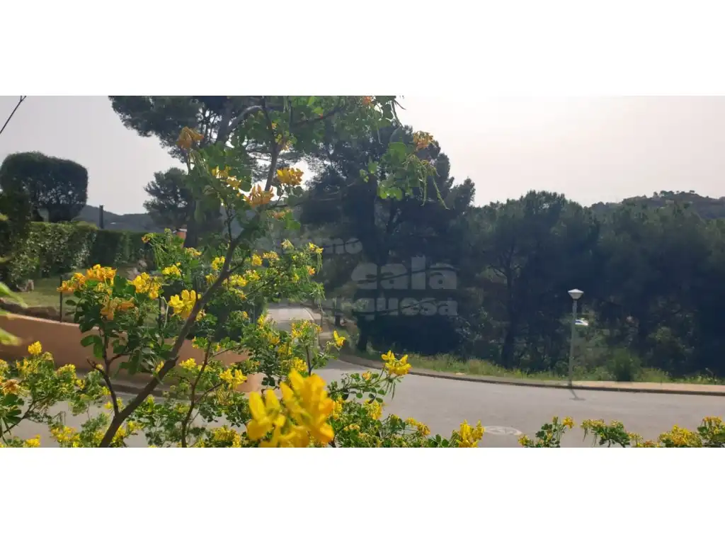 Terreny residencial en venda a Sa Riera - Sa Fontansa, imagen 6
