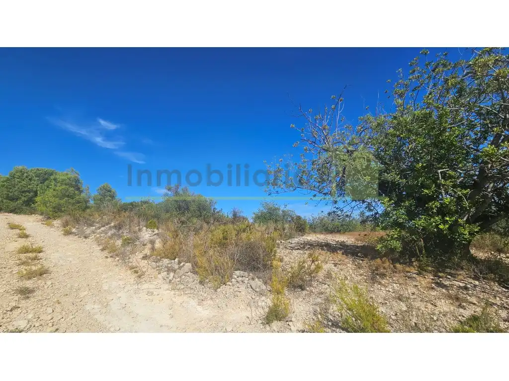 Rural land for sale in Poligono 37 Paraje 351 T Cerver, imagen 4