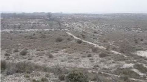 FINCA DE SECANO PARA ALMENDROS, OLIVOS, immagine 4