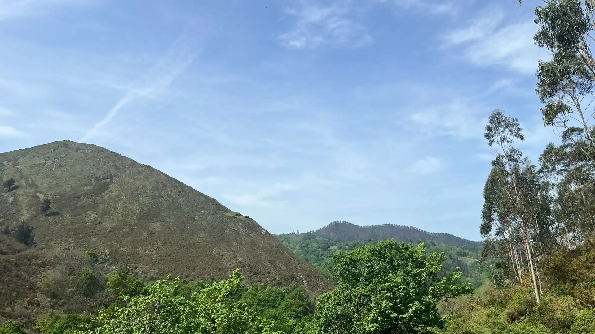 Vista exterior de Casa o xalet en venda en Cangas de Onís amb Jardí privat