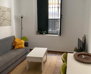 Living room of Flat to rent in  Sevilla Capital  with Air Conditioner, Heating and Balcony