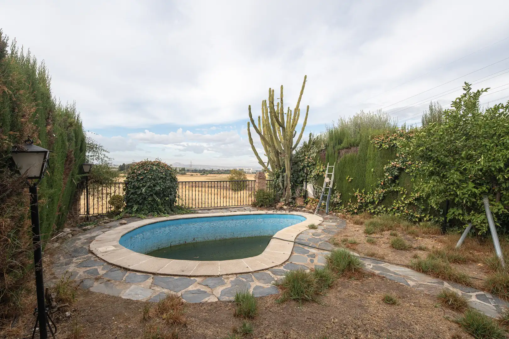 Swimming pool of Houses for sale in Genil