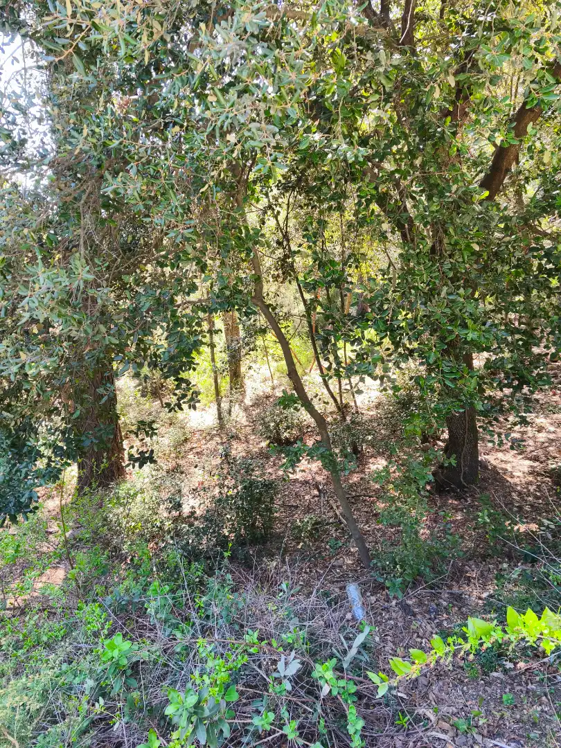 Terrain résidentiel à vendre à Carrer de la Font del Querol 19, imagen 7