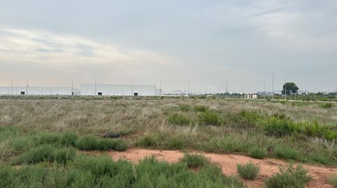SOLAR INDUSTRIAL EN VENTA 20000M2 SECTOR 05 NULES, immagine 4