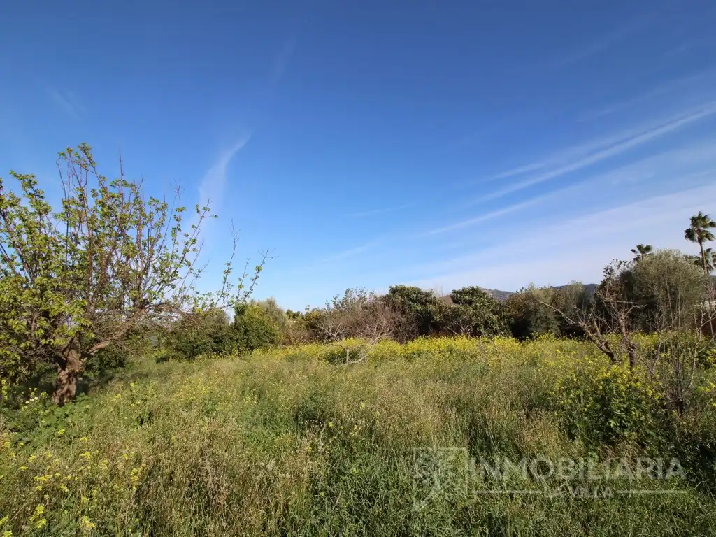 Finca rústica en venda en Alhaurín de la Torre amb Terrassa