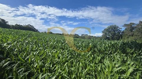 Photo 3 of Residential for sale in Cardoso, Pría - Nueva-Hontoria - Naves, Asturias