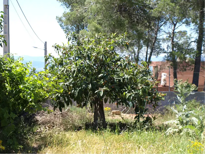 Terreny residencial en venda a Carrer Mare de Déu de l'Estrella 466, imagen 5