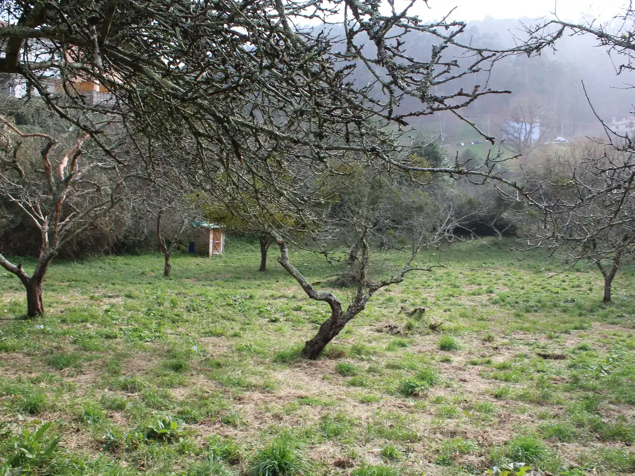 Residencial en venda en Ribadesella