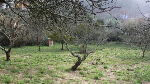 Foto 4 de Residencial en venda a Carretera Ribadesella - Canero, 1, Ribadesella, Asturias