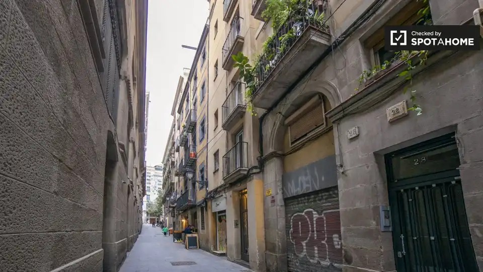 Appartamento con terrazza in affitto a Ciutat Vella, imagen 17