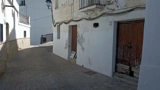 Vista exterior de Casa o chalet en venta en Sayalonga con Terraza y Balcón