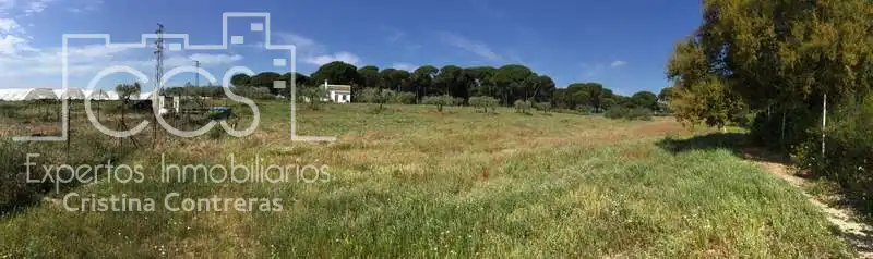 Finca rústica en venda en Almonte amb Terrassa i Moblat
