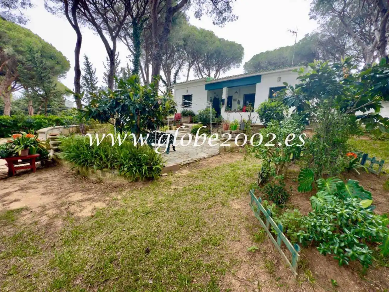 Villa mit Pool zum Verkauf in Los Franceses – La Vega, imagen 42