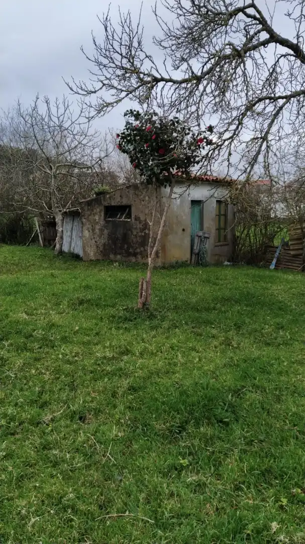 Terreni e lotti in vendita a Rúa Pérez Lugín 29, imagen 5