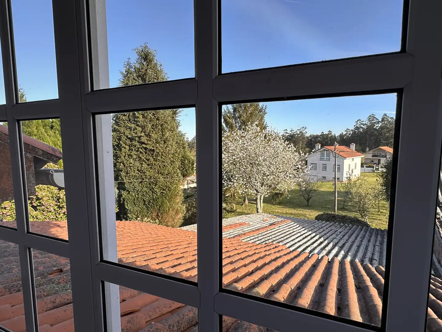 Vista exterior de Finca rústica en venta en Teo con Calefacción, Terraza y Trastero