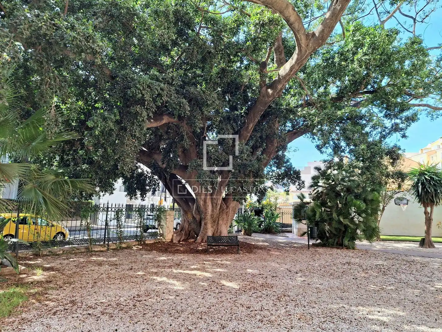 Appartamento con giardino in affitto a Este, imagen 44