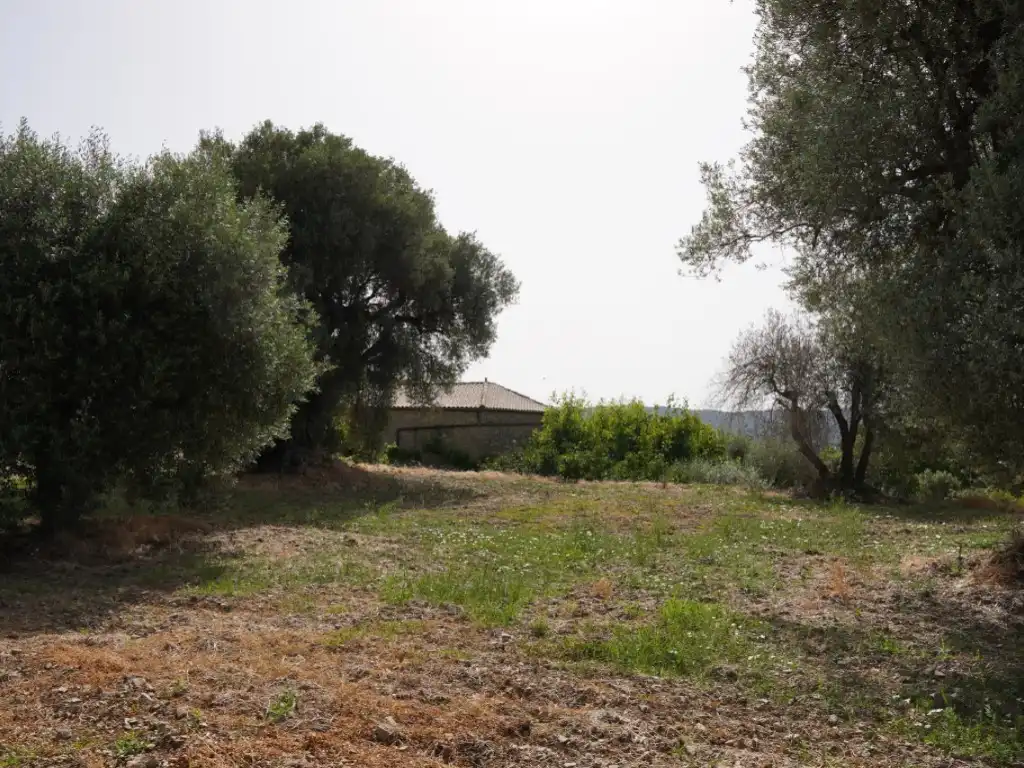 Terreni e lotti in vendita a Camino Casa Olivera(Lecina) 1, imagen 20
