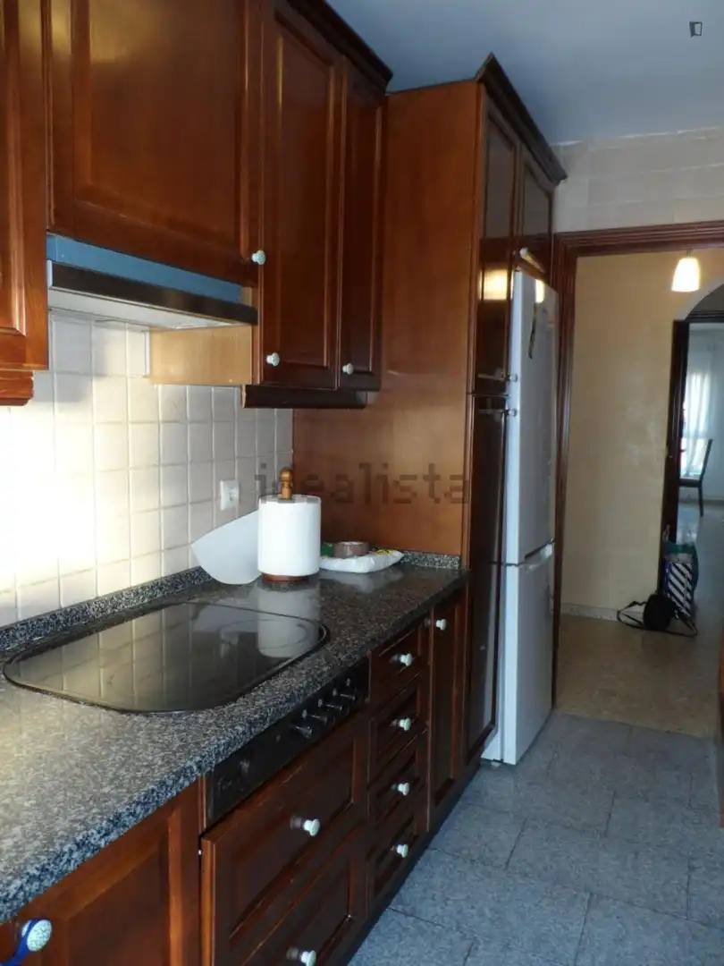 Kitchen of Apartments for share in Sevilla  with Furnished, Washing machine and Internet