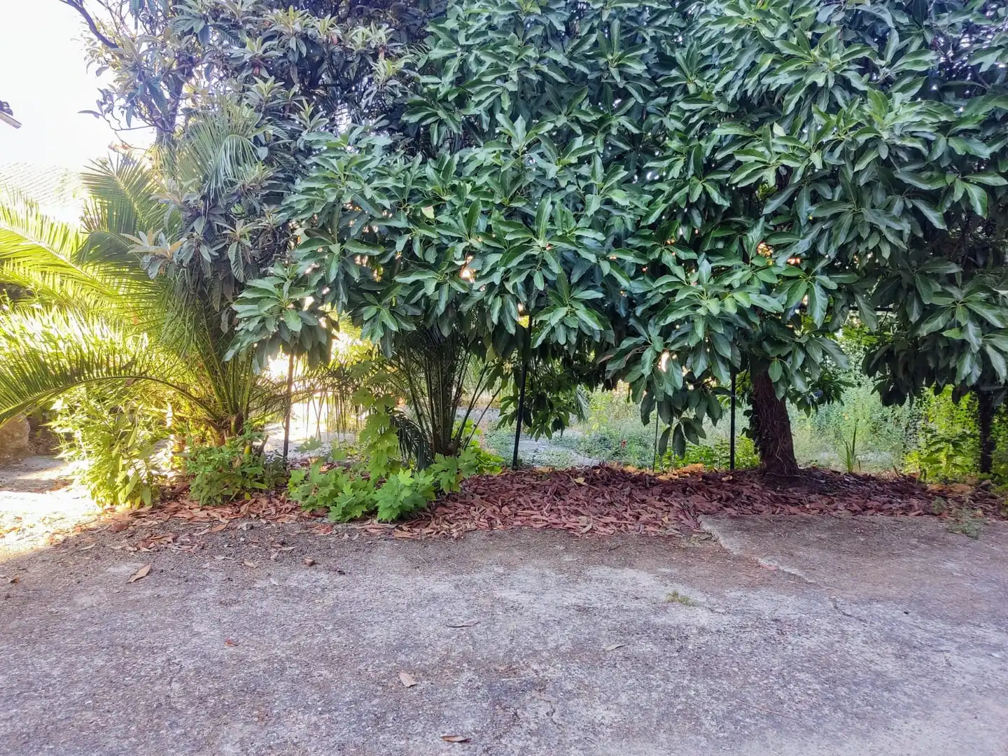 Casa o xalet en venda en Jarandilla de la Vera amb Jardí privat