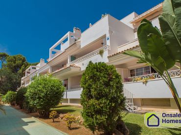 Pis amb piscina en venda a Avenida de la Alcudia