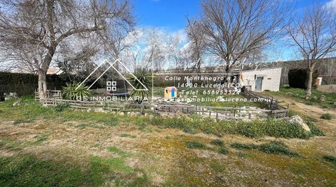 Foto 5 de Casa o chalet en venta en Poleares, Lucena