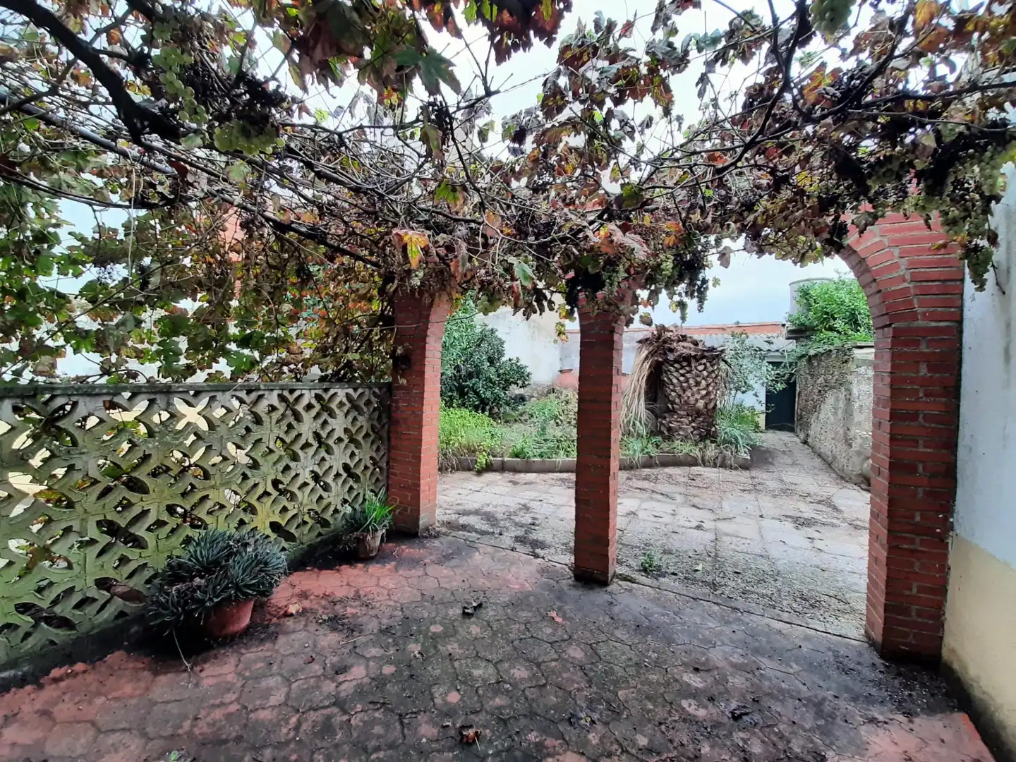 Jardí de Casa o xalet en venda en Botija amb Terrassa