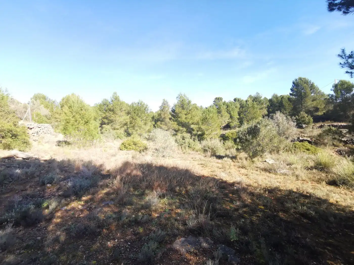 Finca rústica en venda en Chella