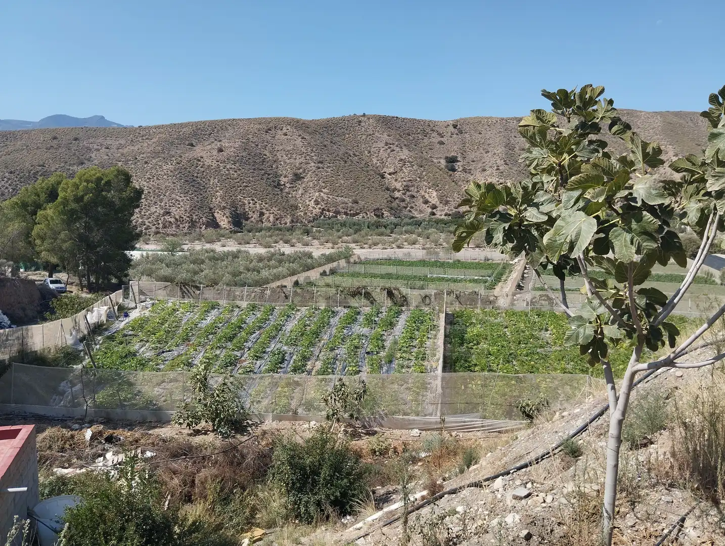 Terreno rustico in vendita a Santa Fe de Mondújar, imagen 5