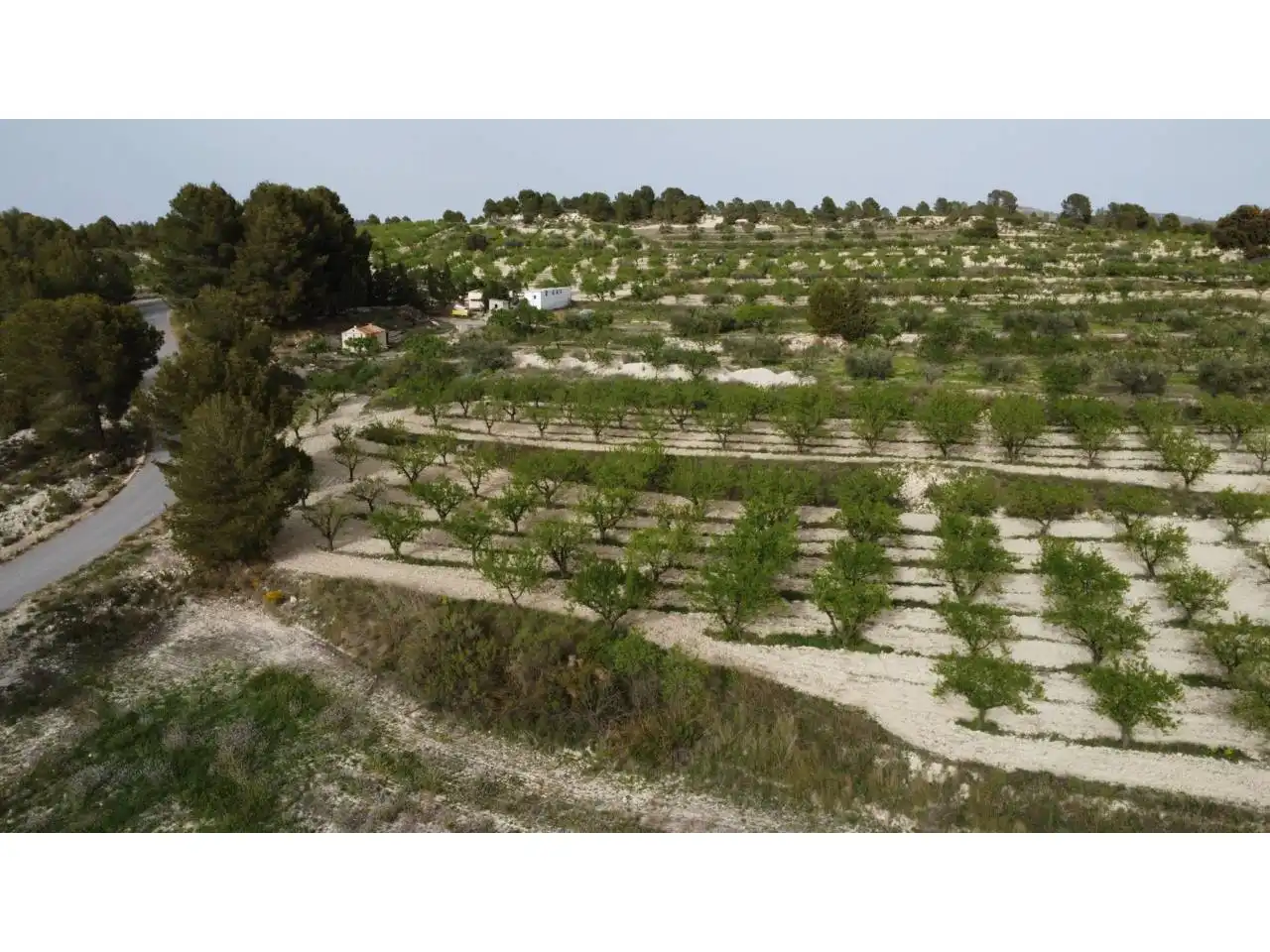 Terreno residencial en venta en Caravaca de la Cruz, imagen 24
