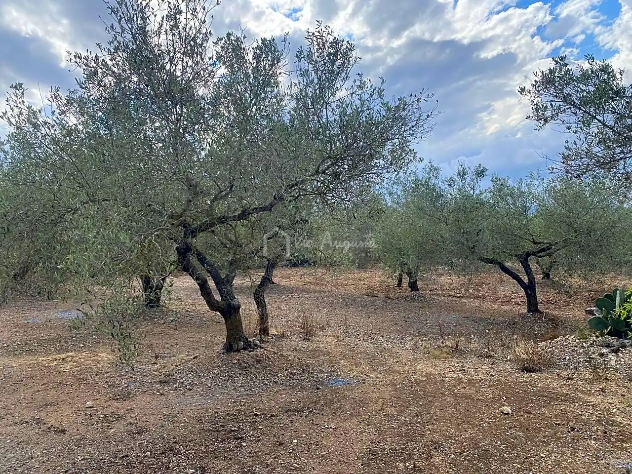 Casa rustica in vendita a Burgà, imagen 14