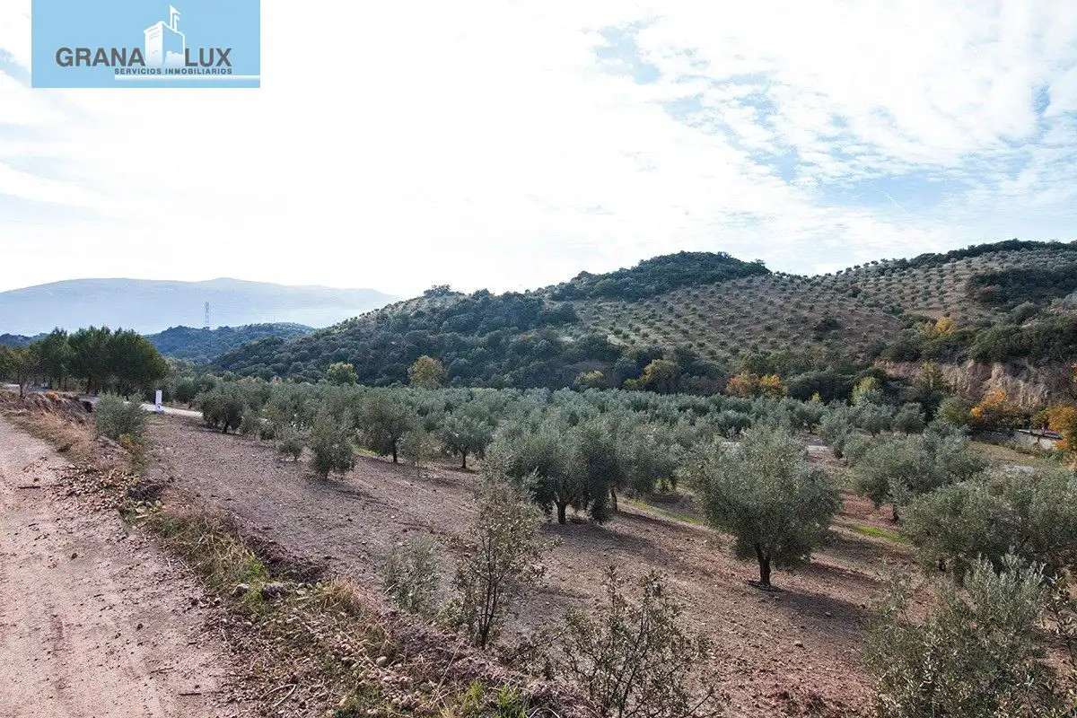 Country homes for sale in Loja