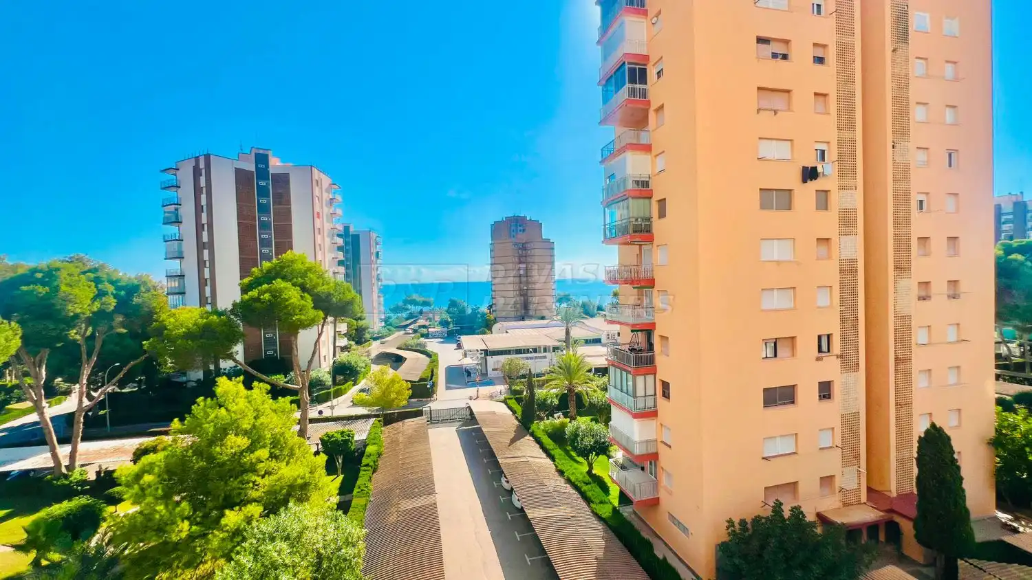 Flat for rent in Gustavo A. Becquer, 7, Campoamor