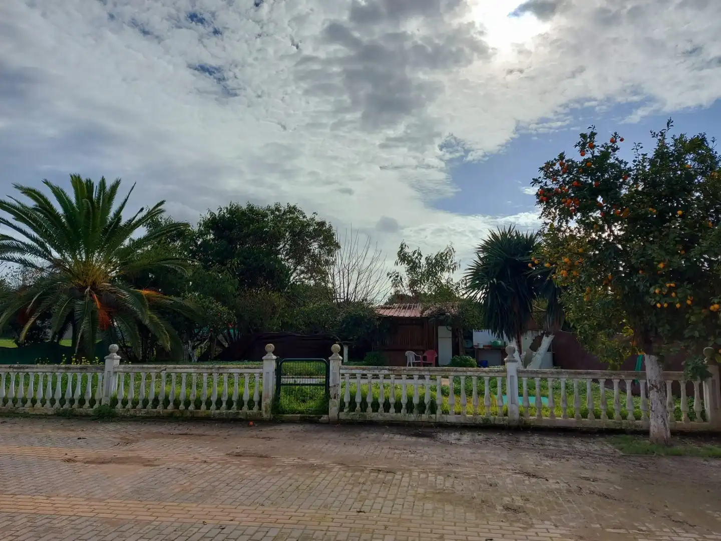 Jardí de Casa o xalet en venda en Dos Hermanas amb Terrassa, Piscina i Moblat