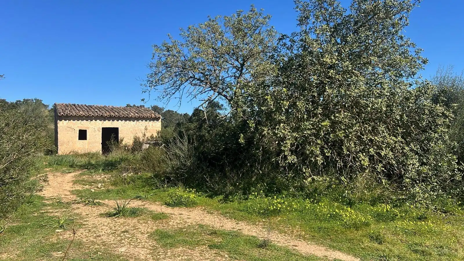 Grundstücke zum Verkauf in Marratxí, Illes Balears