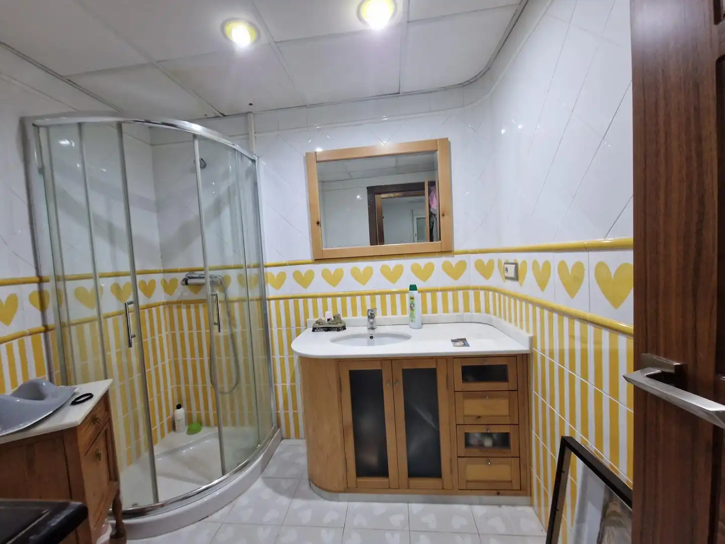 Attique avec ascenseur à vendre à Casco Antiguo, imagen 57