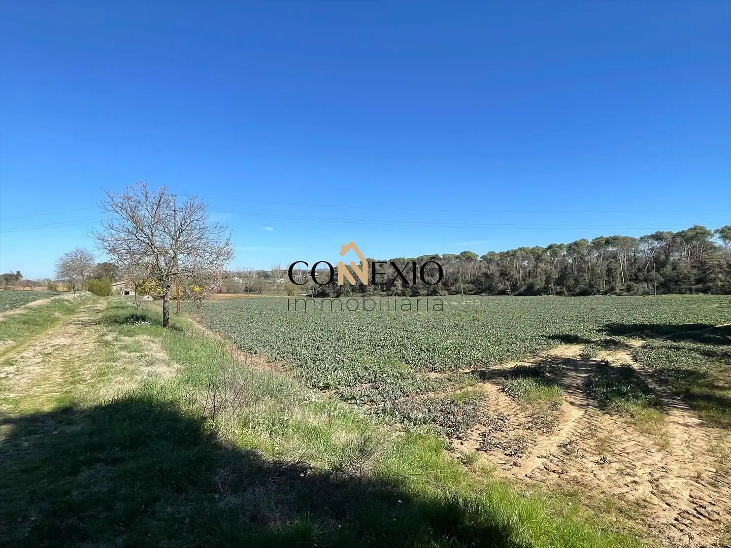 Casa rústica amb terrassa en venda a Caldes de Malavella, imagen 24